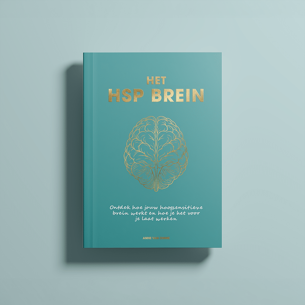 Boekcover van Het HSP brein - De HSP Academie - Anne van Omme